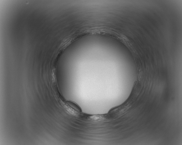 X0000068270477200604210945