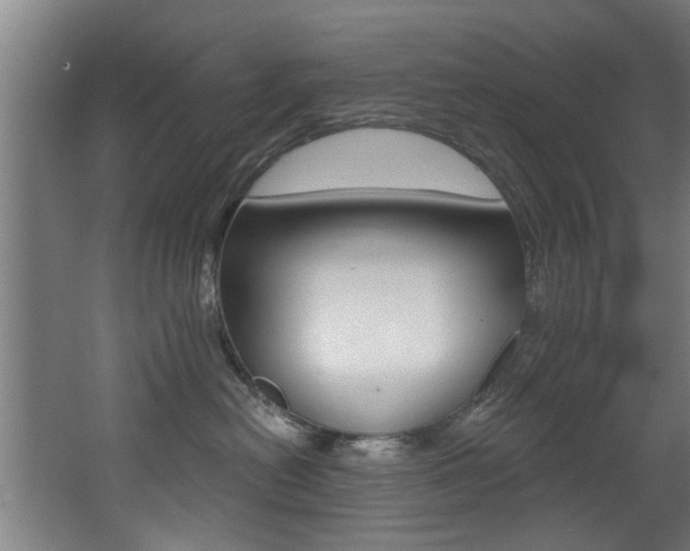 X0000068270478200604210945