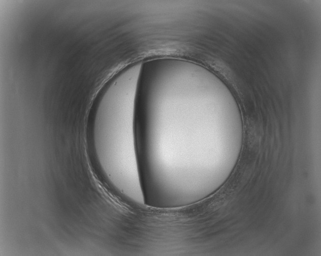 X0000068270482200604210944