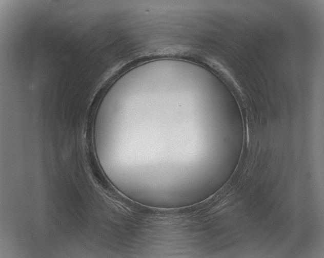 X0000068270483200604210944