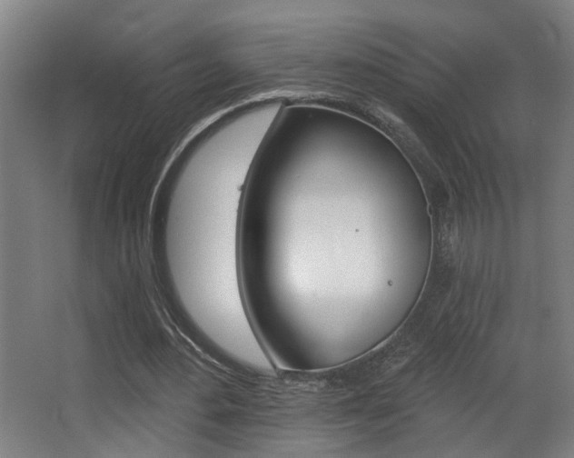 X0000068270484200604210944