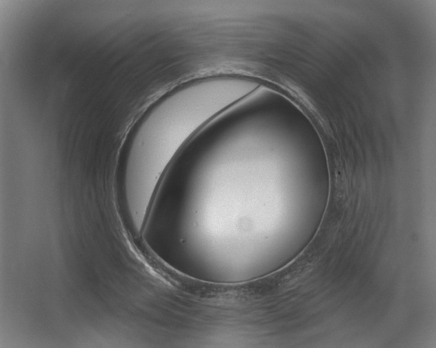 X0000068270485200604210944