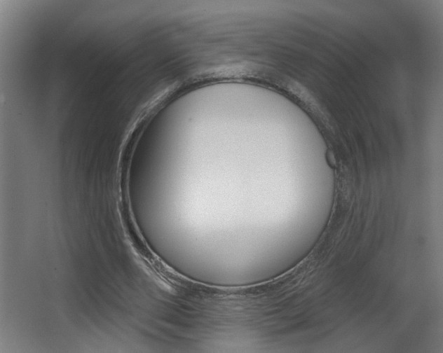 X0000068270486200604210944