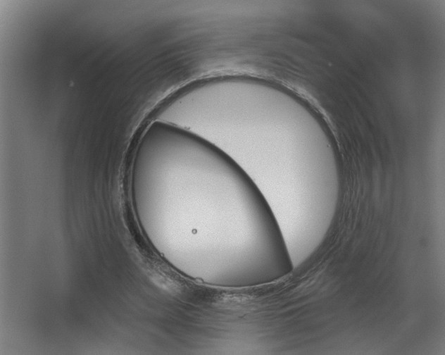 X0000068270487200604210944