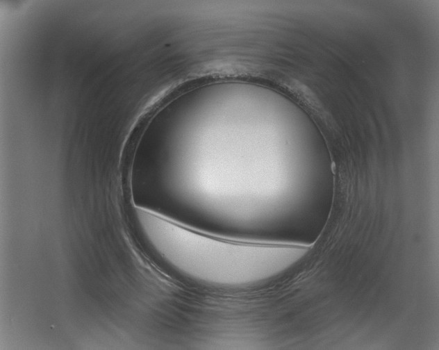 X0000068270488200604210944