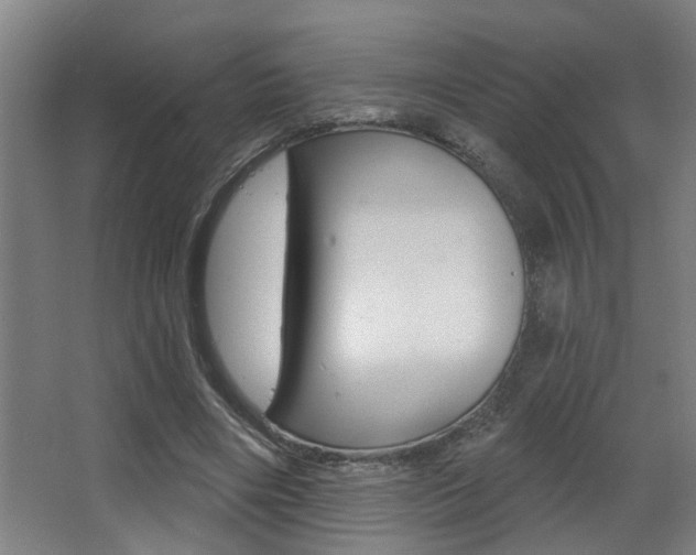 X0000068270490200604210944