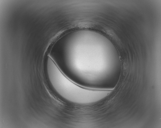 X0000068270492200604210944