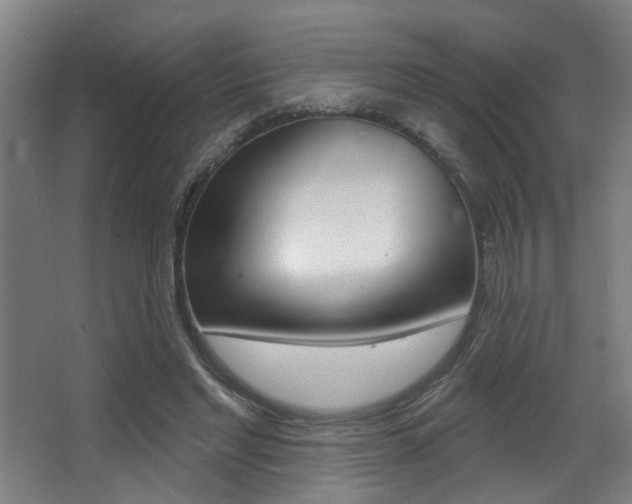 X0000068270493200604210944