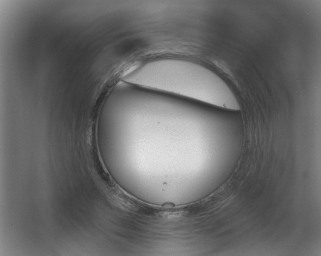 X0000068270495200604210944