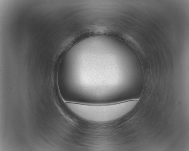 X0000068270496200604210944