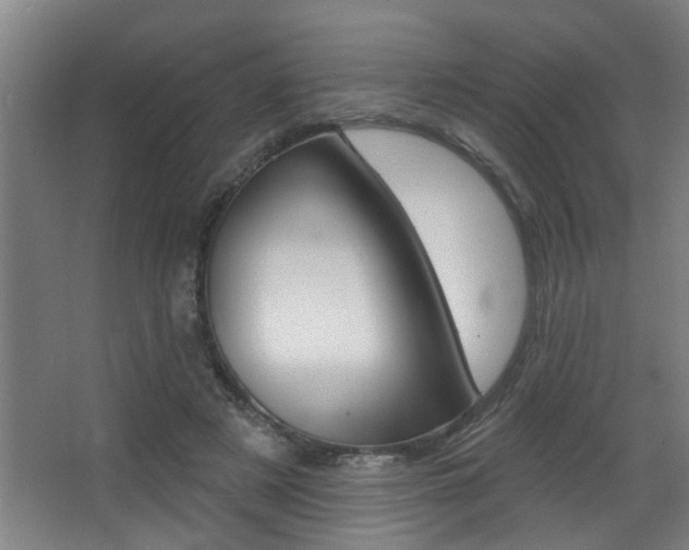 X0000068270497200604210944