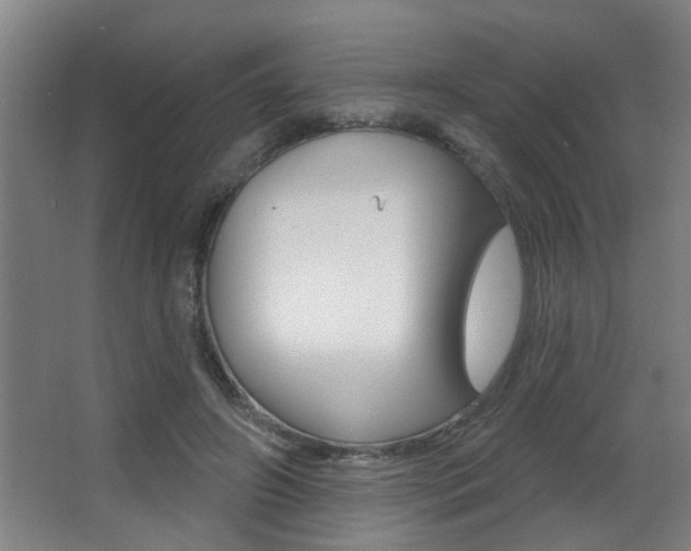 X0000068270498200604210944