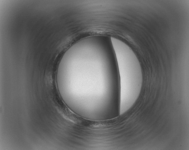 X0000068270500200604210944