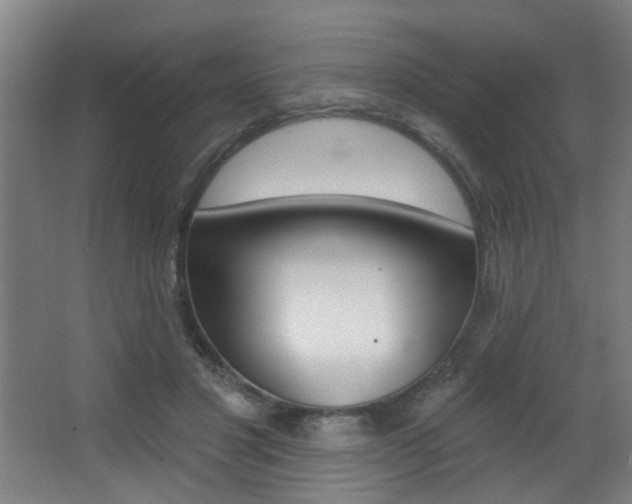 X0000068270501200604210944