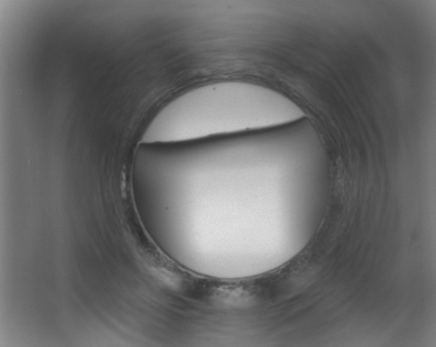 X0000068270502200604210944