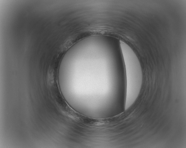 X0000068270504200604210944