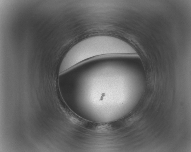 X0000068270505200604210944