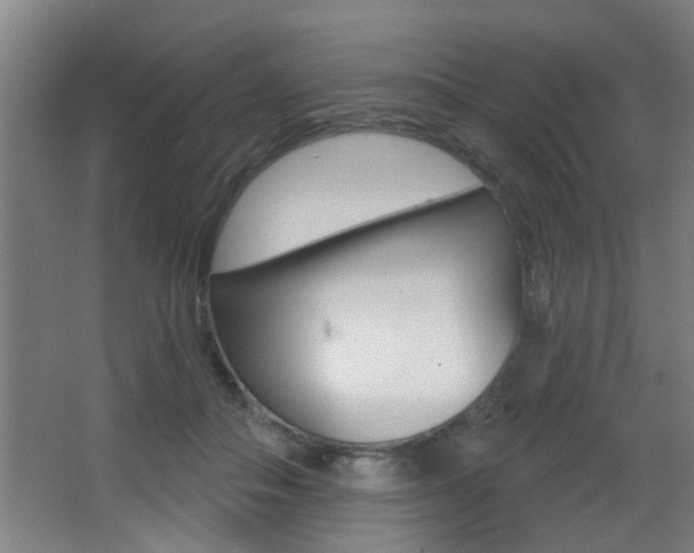 X0000068270506200604210944