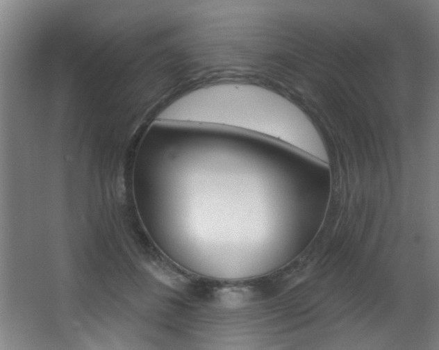 X0000068270508200604210944