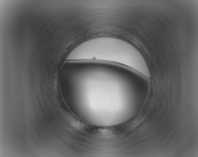 X0000068270509200604210944