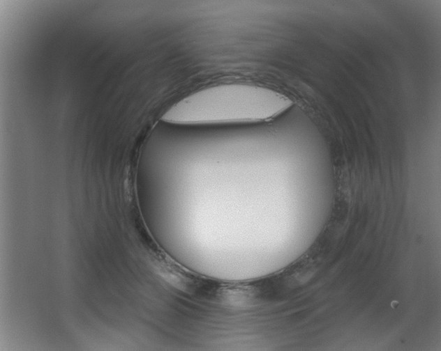 X0000068270510200604210944