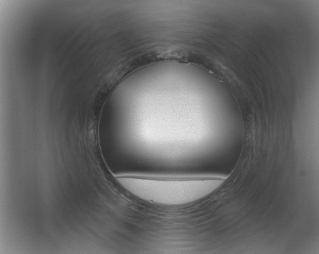 X0000068270513200604210944