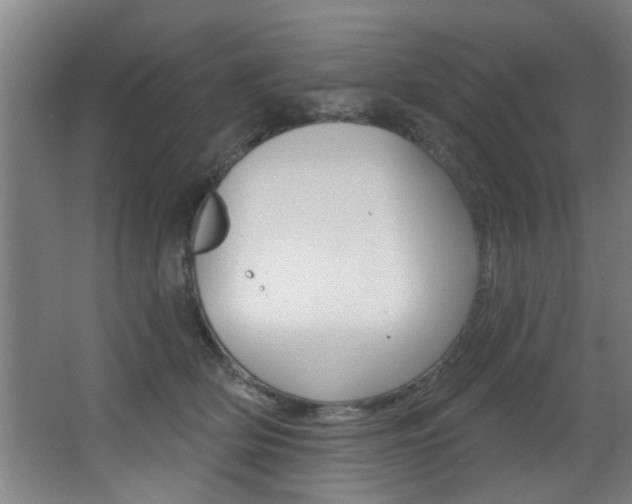 X0000068270514200604210944