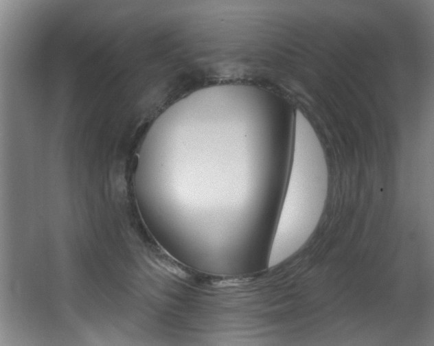 X0000068270516200604210943