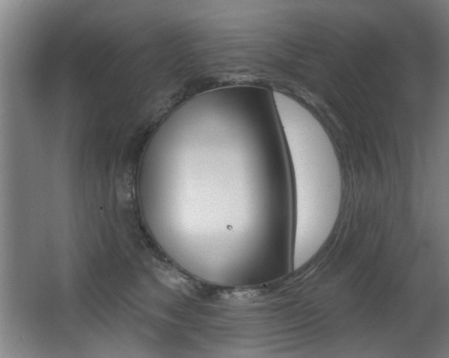 X0000068270517200604210943