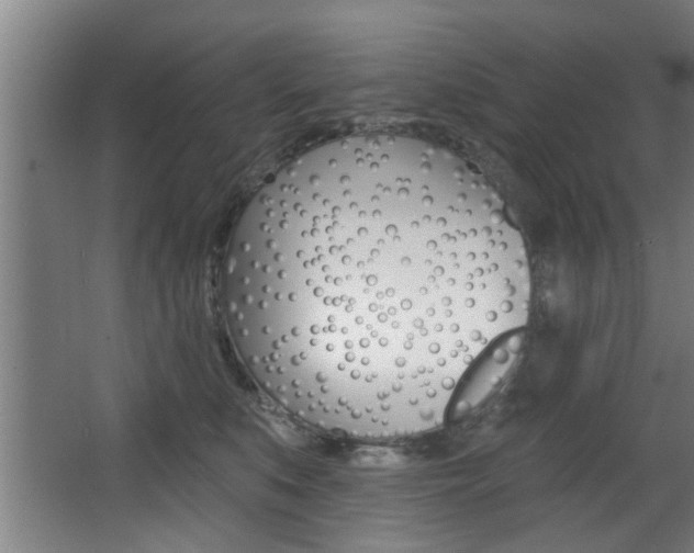 X0000068270519200604210943