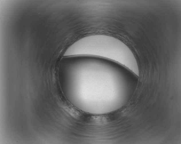 X0000068270520200604210943