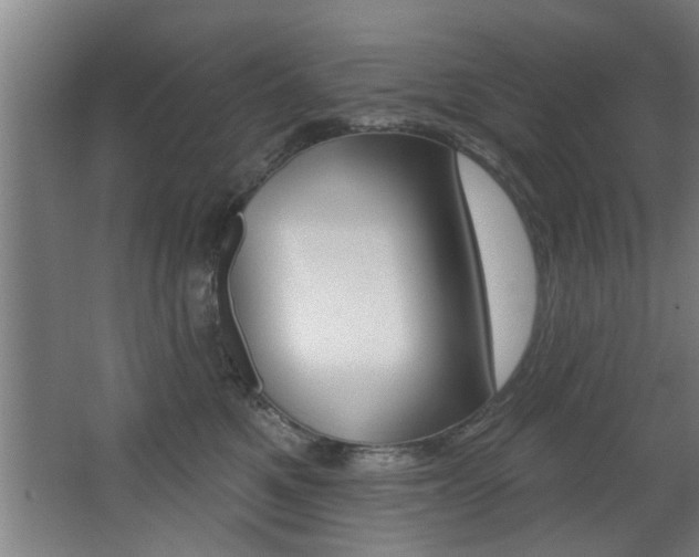 X0000068270521200604210943