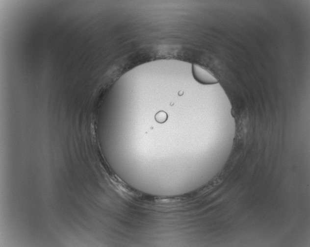 X0000068270522200604210943