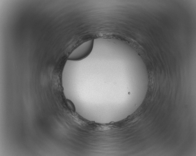 X0000068270523200604210943