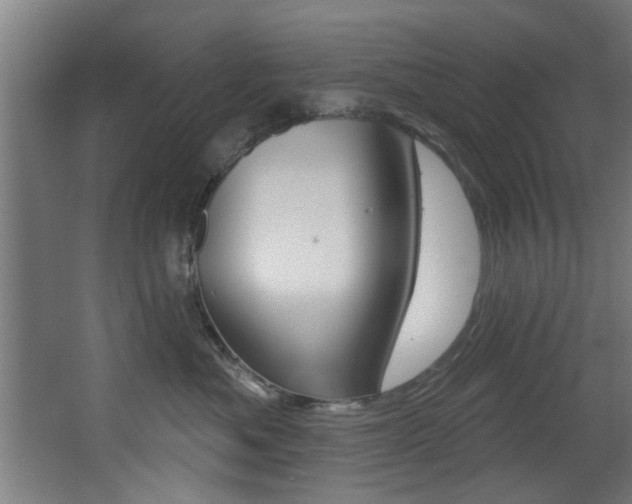 X0000068270525200604210943