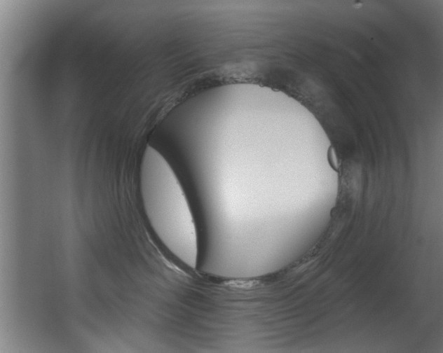 X0000068270526200604210943