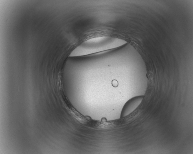 X0000068270527200604210943