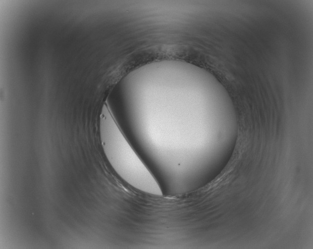 X0000068270528200604210943