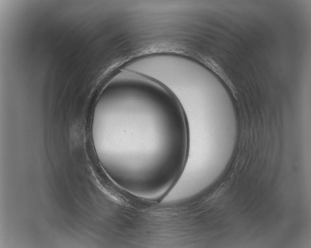 X0000068270530200604210943