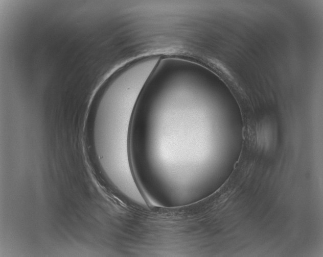 X0000068270532200604210943