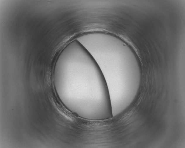 X0000068270533200604210943