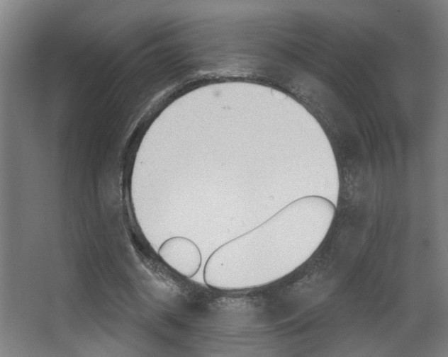 X0000068270534200604210943