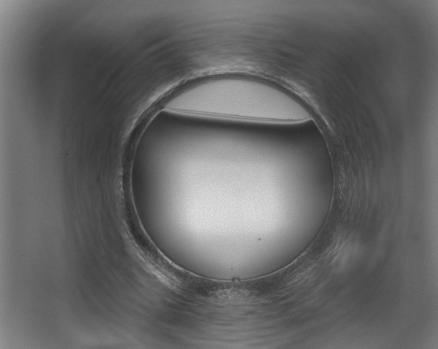 X0000068270535200604210943