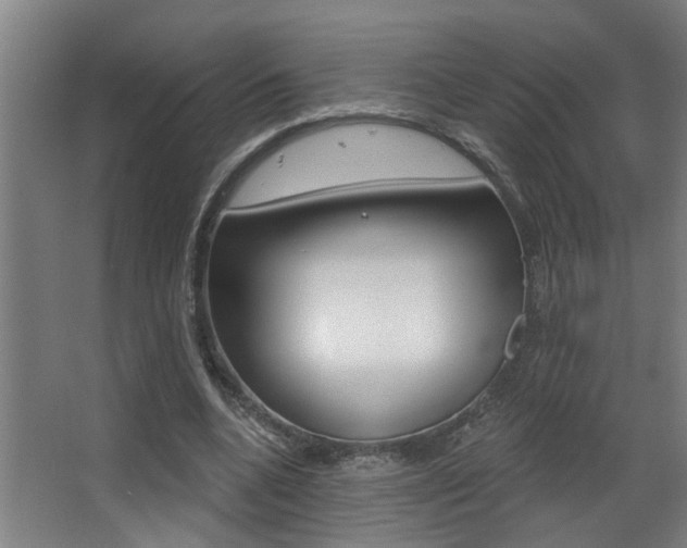 X0000068270536200604210943