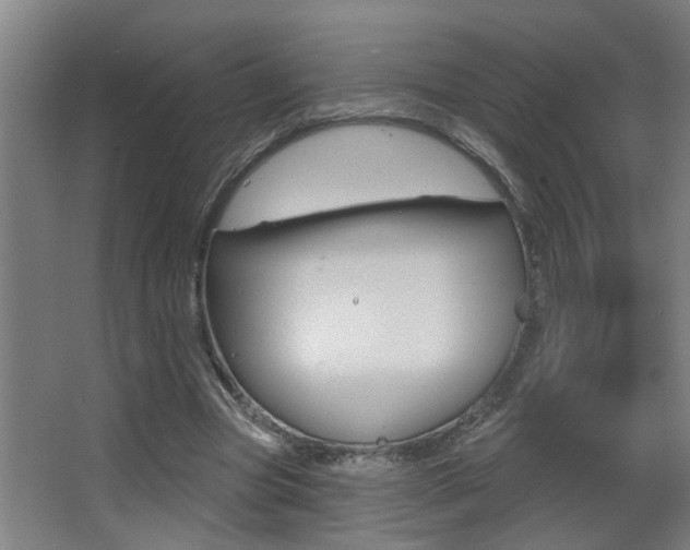 X0000068270537200604210943