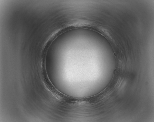 X0000068270539200604210943