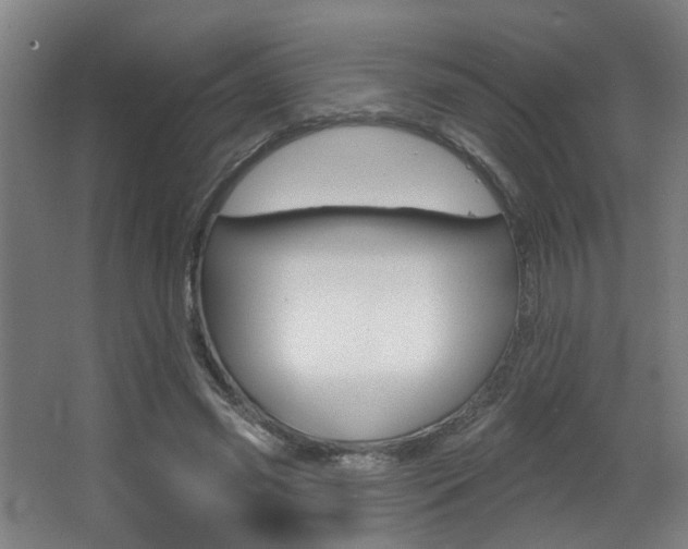 X0000068270541200604210943