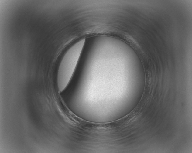 X0000068270542200604210943