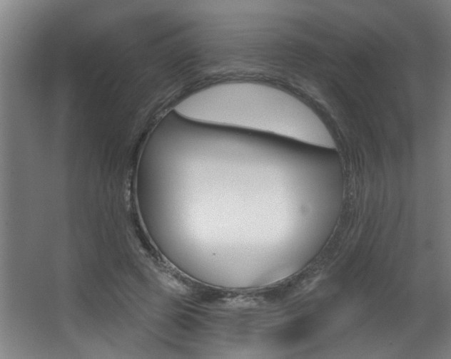 X0000068270545200604210943