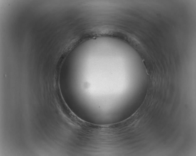 X0000068270546200604210943